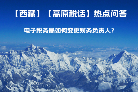 電子稅務(wù)局如何變更財(cái)務(wù)負(fù)責(zé)人？