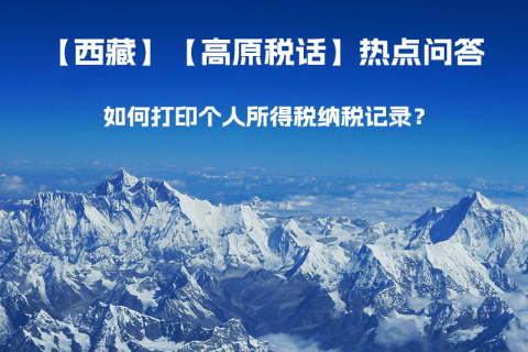 如何打印個人所得稅納稅記錄？