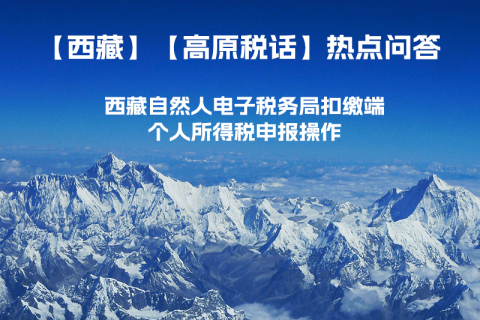 西藏自然人電子稅務(wù)局扣繳端個人所得稅申報操作