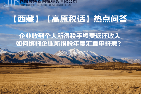 企業(yè)收到個人所得稅手續(xù)費返還收入，如何填報企業(yè)所得稅年度匯算申報表？