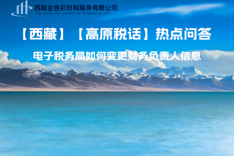 西藏電子稅務(wù)局如何變更財(cái)務(wù)負(fù)責(zé)人信息？