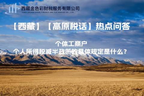 個體工商戶個人所得稅減半政策的具體規(guī)定是什么？